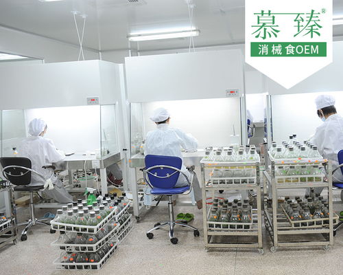 成熟配方魔芋粉生產(chǎn)工廠加工項(xiàng)目 慕臻制作商與五金零售的協(xié)同發(fā)展